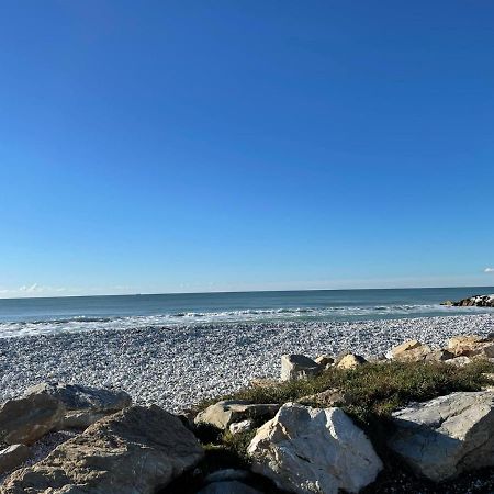 Azzurra House Leilighet Marina Di Pisa Eksteriør bilde