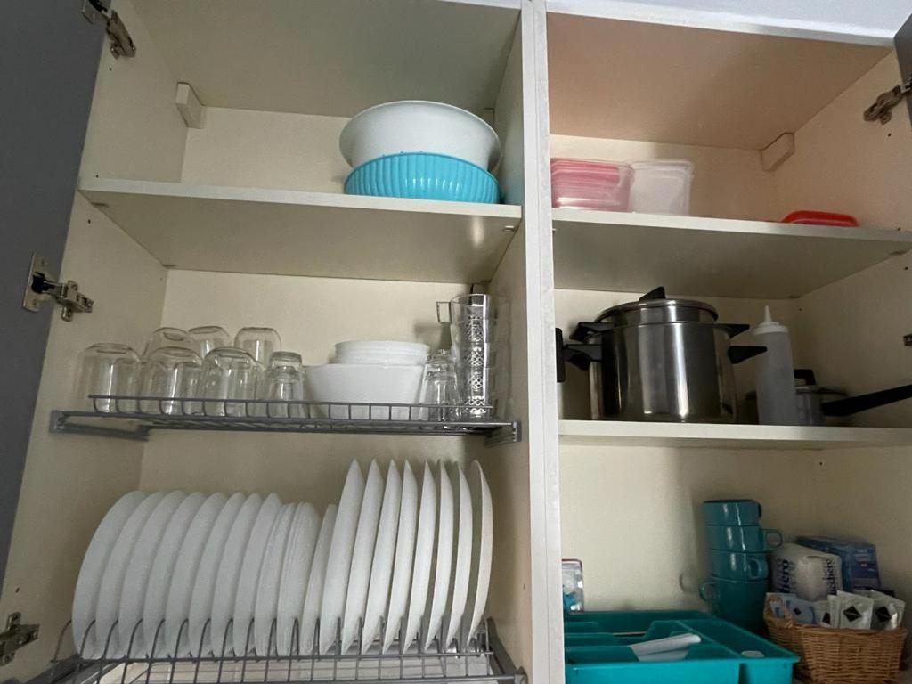 Azzurra House Leilighet Marina Di Pisa Eksteriør bilde