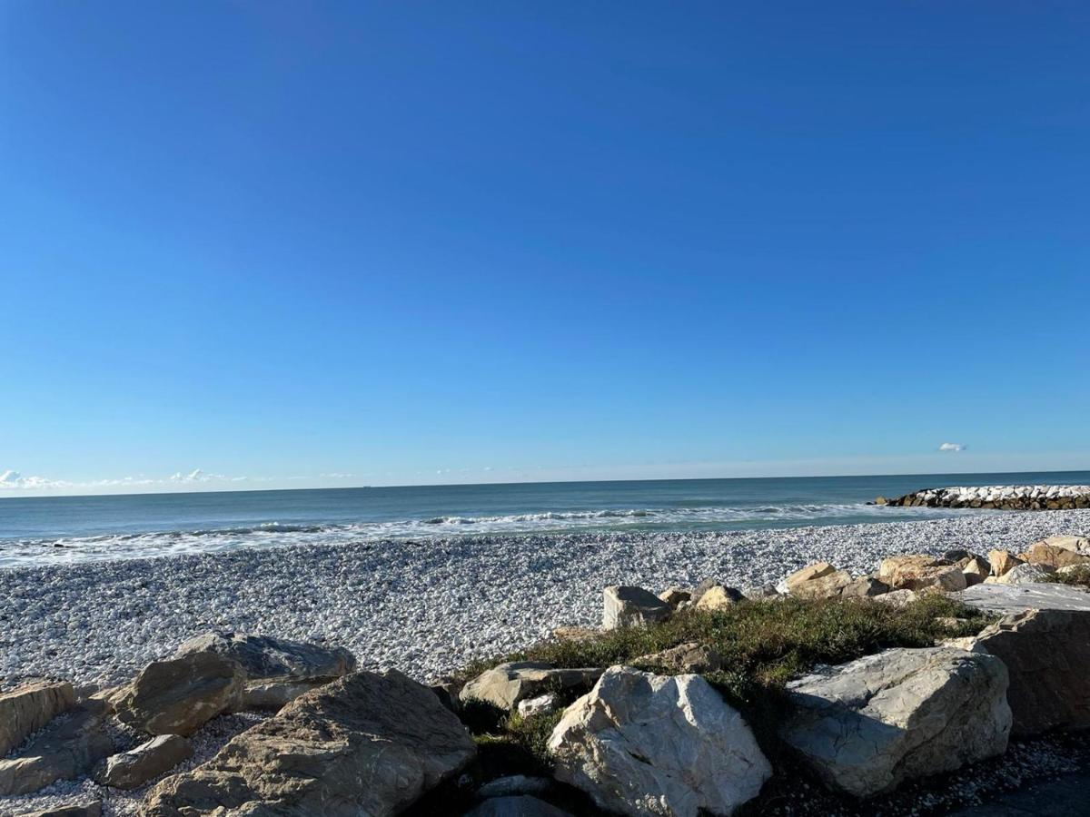 Azzurra House Leilighet Marina Di Pisa Eksteriør bilde